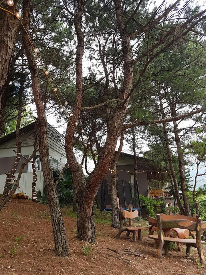 Bachlien Pine Forest Villa Hanoi Buitenkant foto